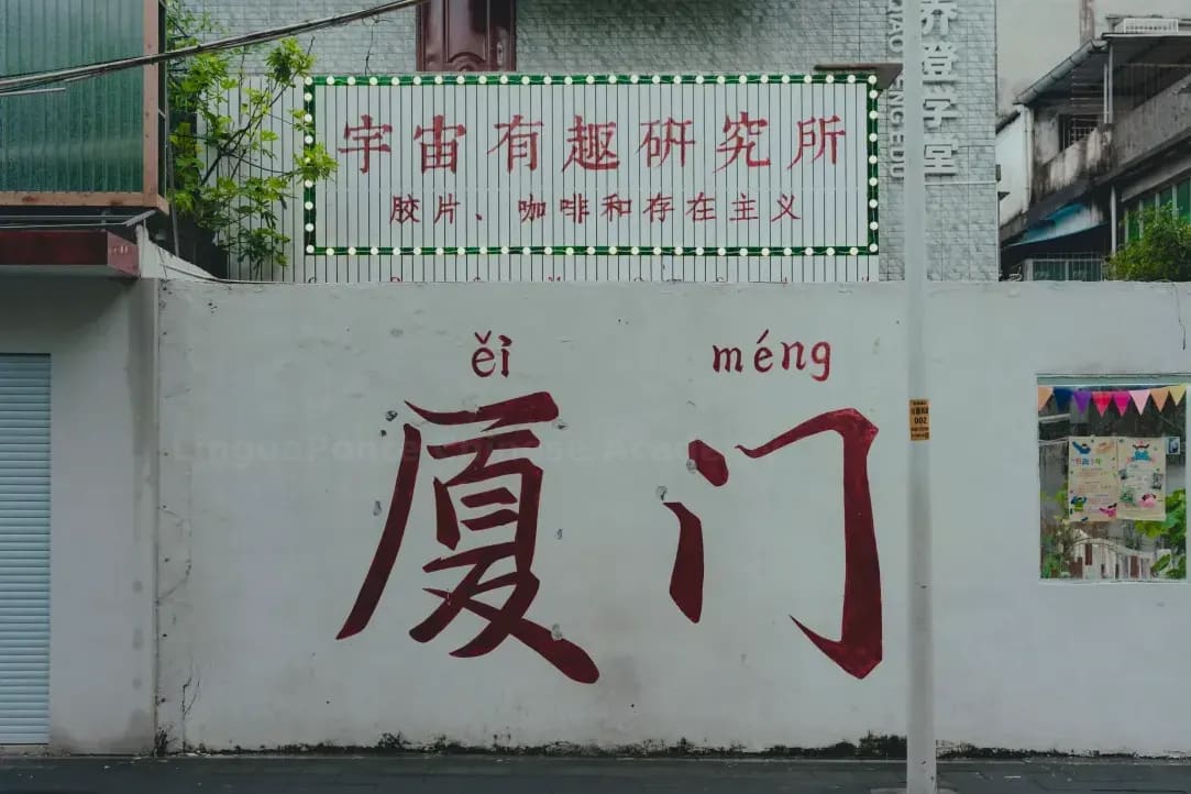 LinguaPonte Chinese Academy 11