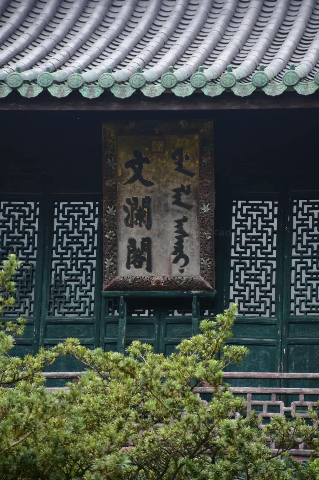 LinguaPonte Chinese Academy 12
