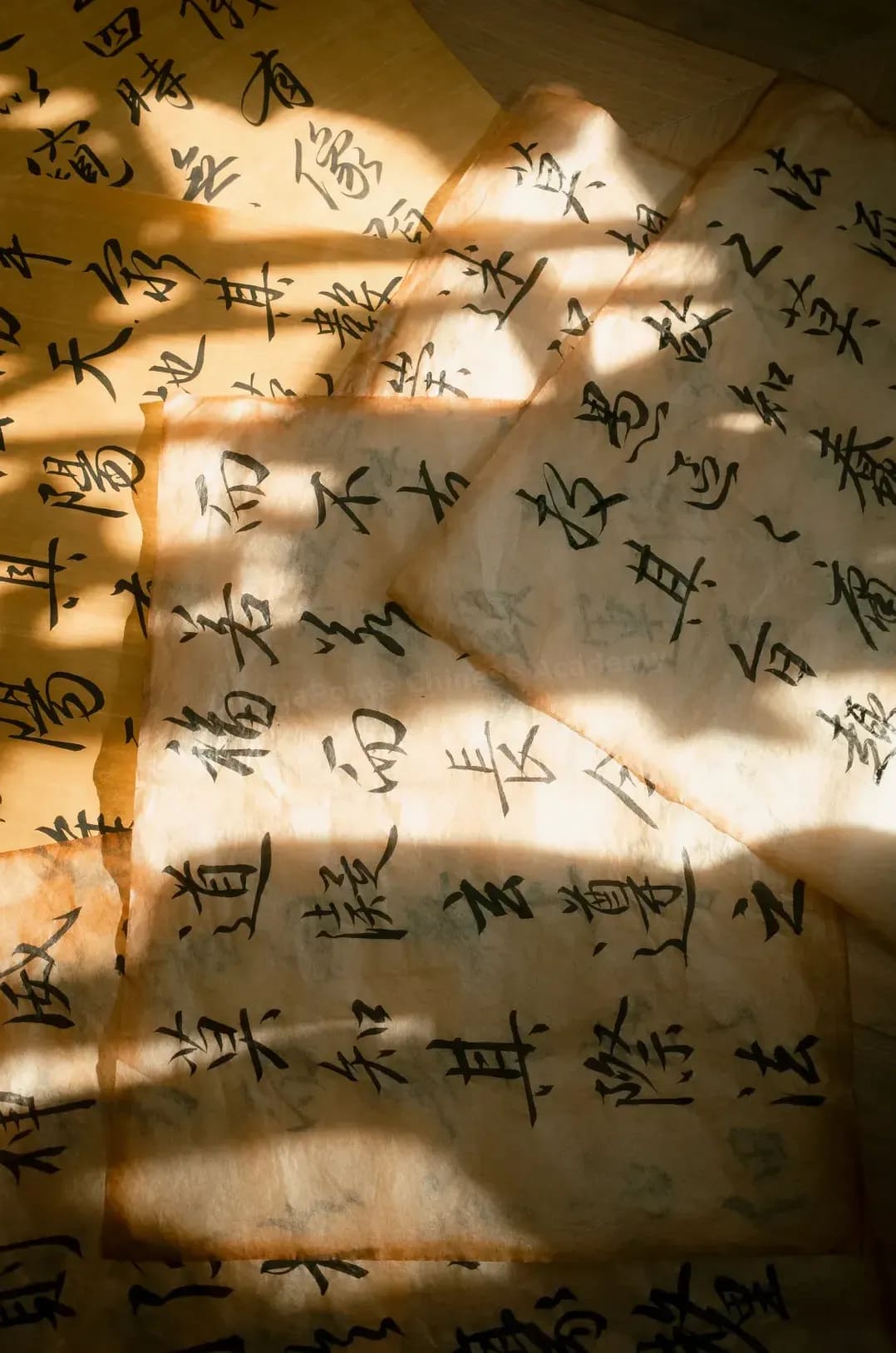 LinguaPonte Chinese Academy 13