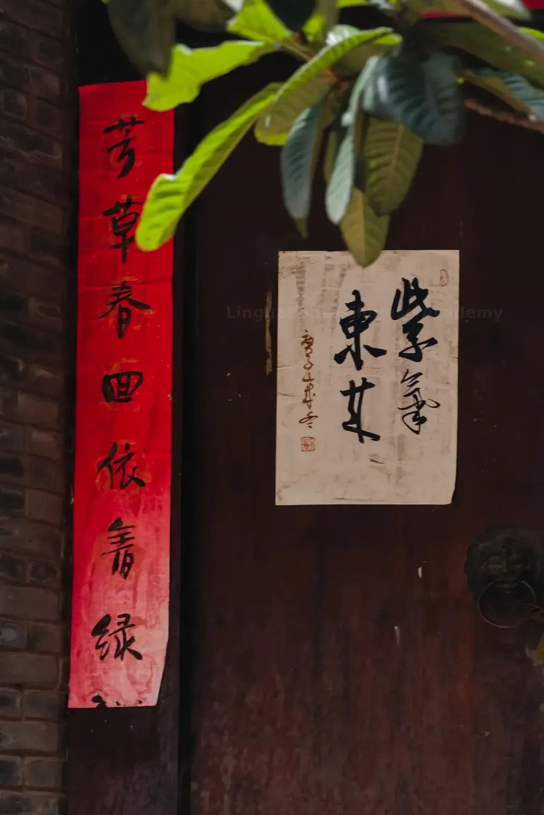 LinguaPonte Chinese Academy 5