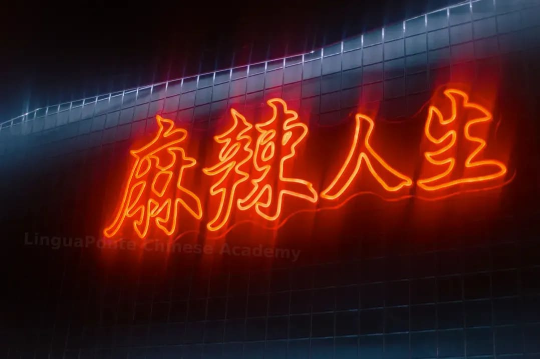 LinguaPonte Chinese Academy 9